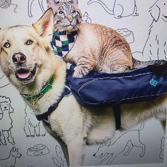 Cuddle Collab NEW XL Dog Harness Backpack - Picture 10 of 10
